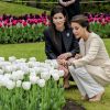 La princesse Marie de Danemark a découvert et baptisé le 7 mai 2014 une fleur à son nom dans le parc du château de Gavno : la tulipe Princesse Marie, une variété simple tardive de 45 cm, blanche à liseré cerise sur le bord.