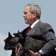  George W. Bush avec ses chiens Barney et Miss Beazley &agrave; Washington le 13 ao&ucirc;t 2006. 