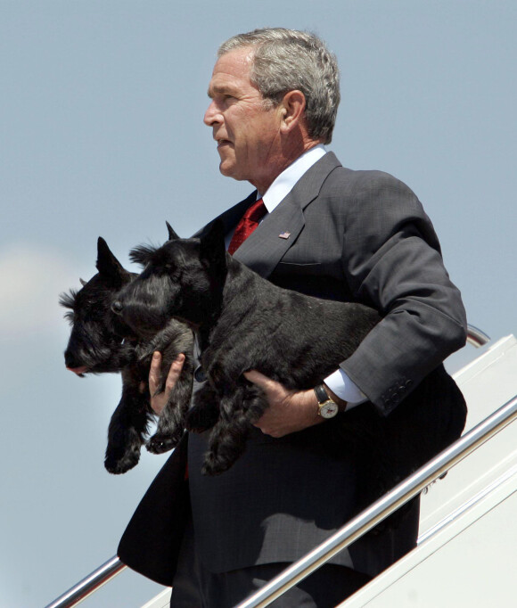 George W. Bush avec ses chiens Barney et Miss Beazley à Washington le 13 août 2006.