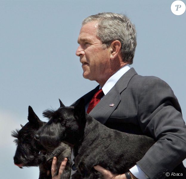 George W. Bush avec ses chiens Barney et Miss Beazley &agrave; Washington le 13 ao&ucirc;t 2006.