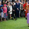 La reine Elizabeth II en arrêt devant un chien invité le 21 mai 2014 dans le parc de Buckingham Palace pour la première garden party de l'année.