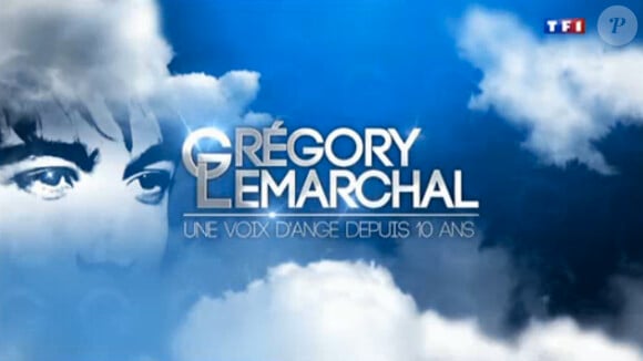 Soirée spéciale Grégory Lemarchal, diffusée le samedi 16 août à 20h55 sur TF1.