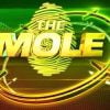 The Mole, l'émission australienne qui intéresse vivement M6.