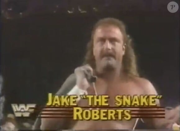 L'ex-star du catch Jake "The Snake" Roberts