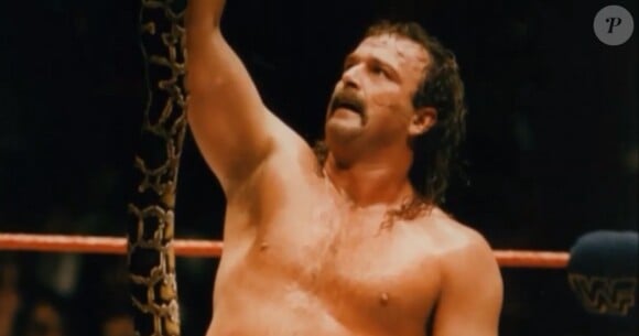 Jake "The Snake" Roberts au début des années 90