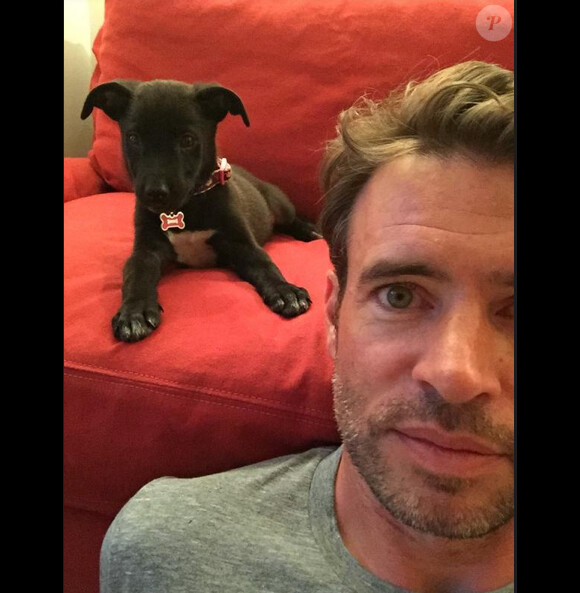 Scott Foley et son chien le 20 septembre 2014.