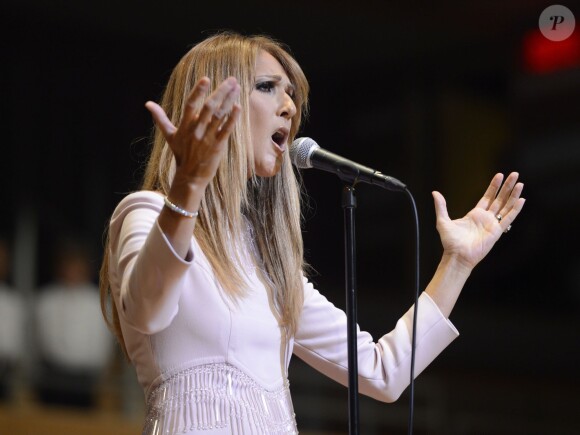 Céline Dion lors d'un concert de charité, à Montréal, le 16 juillet 2014