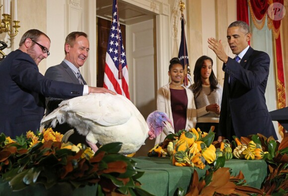 Le démocrate Barack Obama et ses filles Malia et Sasha ont grâcié une dinde pour Thanksgiving à la Maison Blanche, le 26 novembre 2014
