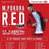 M. Pokora en tournée dans toute la France en 2015