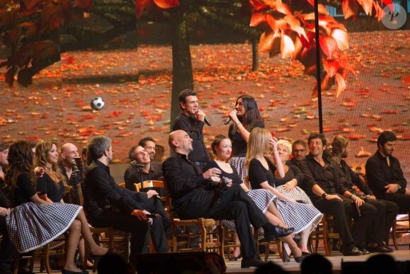 Les Enfoirés en concert à Strasbourg, le 20 janvier 2014.