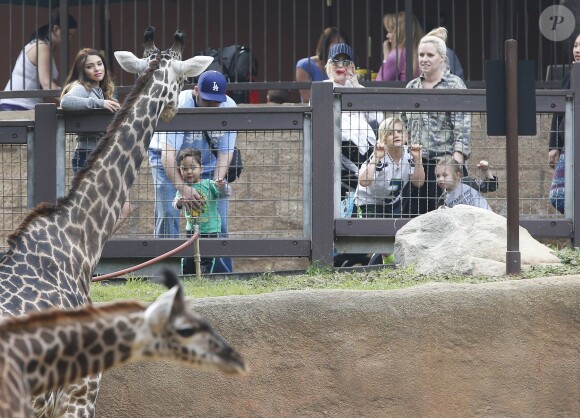 Gwen Stefani passe la journée au zoo avec ses fils Zuma et Apollo à Los Angeles, le 20 février 2015 