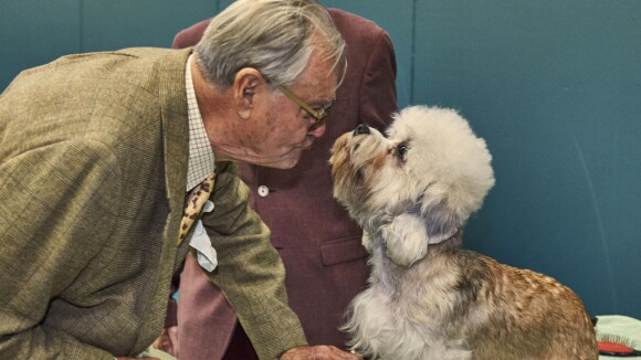 Prince Henrik de Danemark : L'amoureux des chiens savoure sa consécration