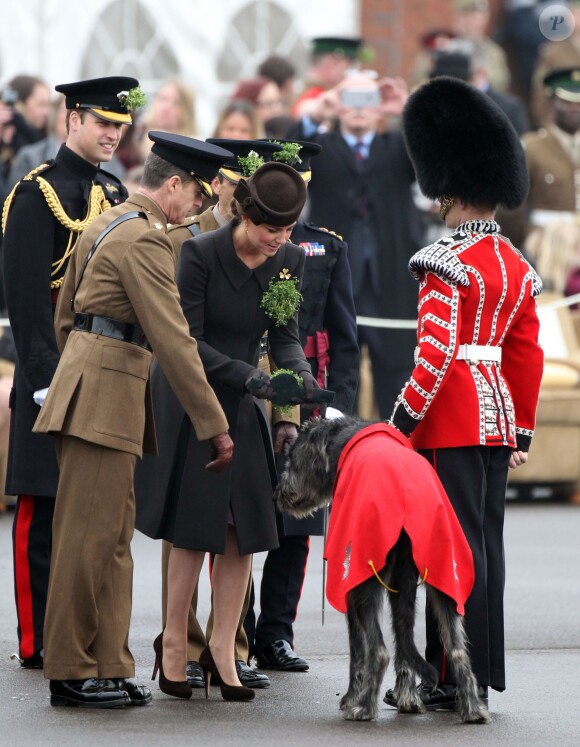 Pas facile de décorer Domhnall, la mascotte, de trèfle... Kate Middleton, duchesse de Cambridge, enceinte de huit mois, et le prince William célébraient le 17 mars 2015 la Saint-Patrick aux Mons Barracks d'Aldershot, offrant du trèfle aux Irish Guards.