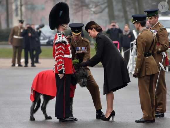 Kate Middleton, enceinte, et le prince William ont célébré la Saint Patrick avec les Irish Guards aux Mons Barracks d'Aldershot, le 17 mars 2015