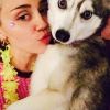 Miley Cyrus organise une journée en la mémoire de la mort de son chien Floyd il y a un an sur Instagram, le 2 avril 2015