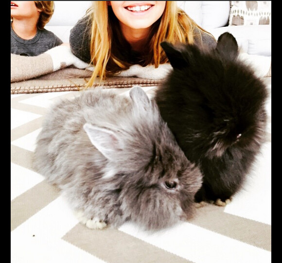 Gwyneth Paltrow a ajouté deux lapins pour Pâques sur Instagram, le 5 avril 2015