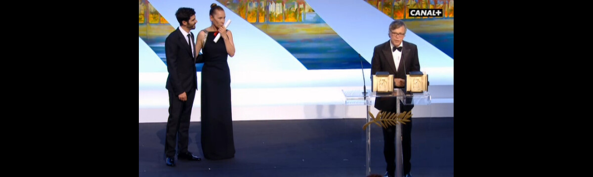 Photo : Todd Haynes, réalisateur de Carol, vient chercher le Prix d ...