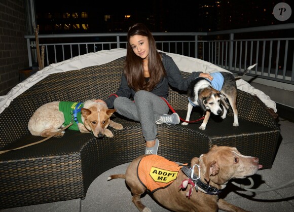 Ariana Grande s'associe à BarkBox et un refuge pour chien de Brooklyn, le 19 mars 2015 à New York