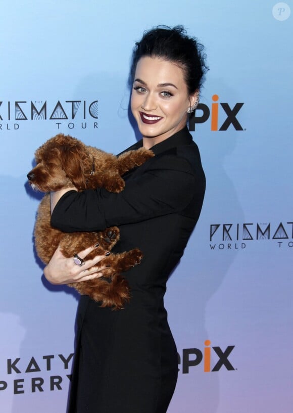 Katy Perry et un chien lors de la projection de "Katy Perry : The Prismatic World Tour" à Los Angeles, le 26 mars 2015. 