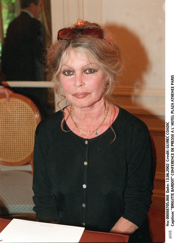 Brigitte Bardot lors d'une conférence de presse au Plaza Athénée à Paris, le 13 juin 2002