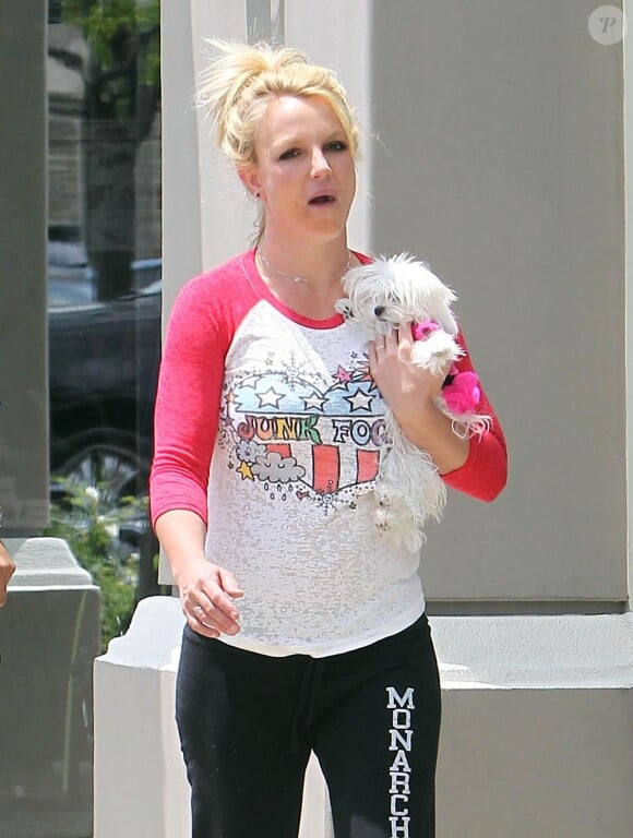 Britney Spears se balade avec son petit chien Lacy Loo dans les bras, dans les rues de Thousand Oaks, le 16 mars 2013.