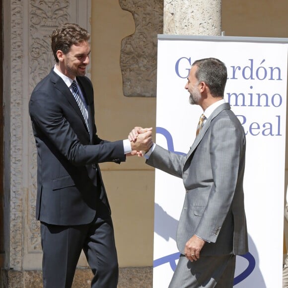 Le roi Felipe VI d'Espagne avait le plaisir de décerner le 15 juillet 2015 au basketteur Pau Gasol le troisième prix Camino Real, au cours d'une cérémonie à l'Université d'Alcala de Henares, non loin de Madrid.