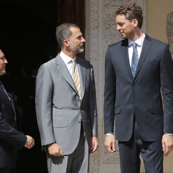 Le roi Felipe VI d'Espagne avait le plaisir de décerner le 15 juillet 2015 au basketteur Pau Gasol le troisième prix Camino Real, au cours d'une cérémonie à l'Université d'Alcala de Henares, non loin de Madrid.