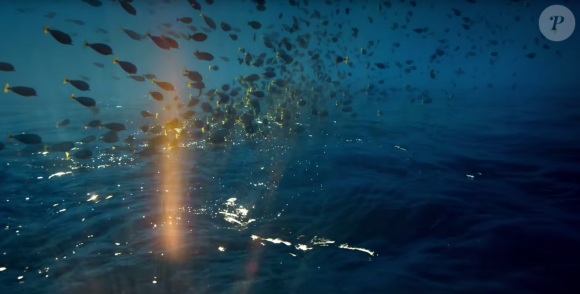 Image extraite du clip de Naughty Boy - Runnin' (Lose It All) ft. Beyoncé, Arrow Benjamin - avec les champions français d'apnée Guillaume Néry et Alice Modolo. Septembre 2015.