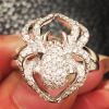 Bridget Marquardt a dévoilé son étonnante bague de fiançailles, une araignée de diamants, dessinée par Lynn Ban, sur son compte Instagram, début octobre 2015.