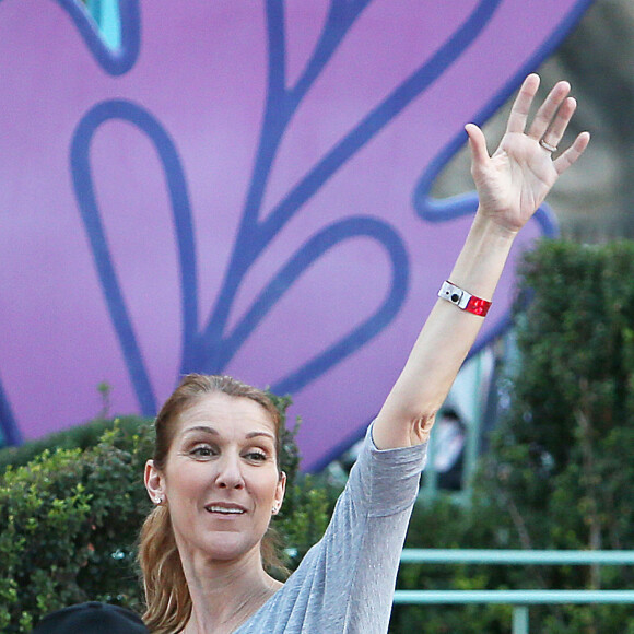 Exclusif - Céline Dion et ses fils Nelson et Eddy font des tours de manège au Disneyland d'Anaheim en Californie le 15 octobre 2015.