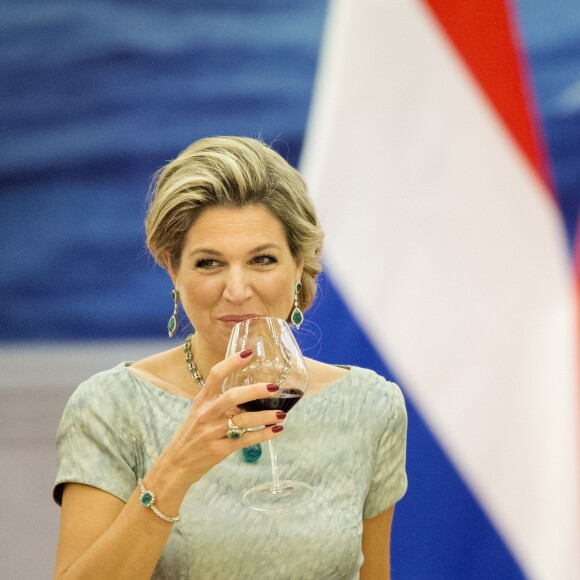 Atteinte d'une néphrite diagnostiquée le matin même, la reine Maxima des Pays-Bas participait bien, le 26 octobre 2015, au dîner d'Etat organisé à Pékin par le président Xi Jinping et son épouse Peng Luyan en l'honneur de sa visite officielle avec le roi Willem-Alexander. Le lendemain, elle était rapatriée, puis admise à l'hôpital Bronovo à La Haye. Depuis, pas de nouvelles...