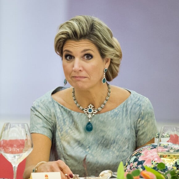 Atteinte d'une néphrite diagnostiquée le matin même, la reine Maxima des Pays-Bas participait bien, le 26 octobre 2015, au dîner d'Etat organisé à Pékin par le président Xi Jinping et son épouse Peng Luyan en l'honneur de sa visite officielle avec le roi Willem-Alexander. Le lendemain, elle était rapatriée, puis admise à l'hôpital Bronovo à La Haye. Depuis, pas de nouvelles...