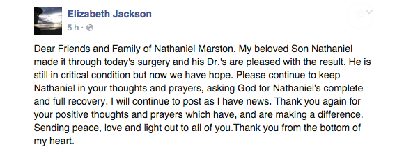 Capture d'écran des messages Facebook d'Elizabeth Jackson à propos de l'accident de la route de son fils l'acteur Nathaniel Marston, fin octobre - début novembre 2015.