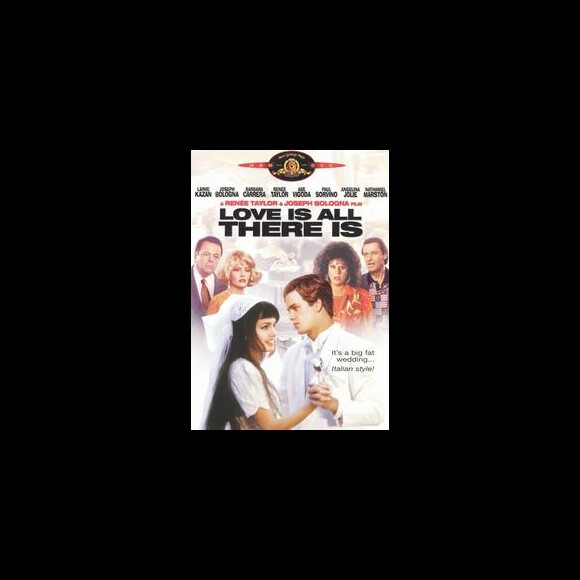Angelina Jolie et Nathaniel Marston étaient les héros de Love Is All There Is (1996) de Joseph Bologna et Renée Taylor.