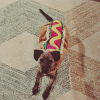 Ozzy, le chien d'Alanna Masterson et Brick Stowell déguisé en hot-dog pour Halloween / photo postée sur Instagram.