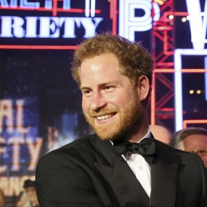 Prince Harry au Royal Variety Performance au Albert Hall à Londres, le 13 novembre 2015.