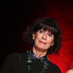 Géraldine Chaplin - Remise du prix Lumière à Martin Scorsese lors du festival Lumière 2015 (Grand Lyon Film Festival) à Lyon. Le 16 octobre 2015