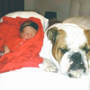 Chanel Nicole fait la sieste avec Max le chien de Coco Austin et Ice-T / photo postée sur Instagram, le 3 décembre 2015