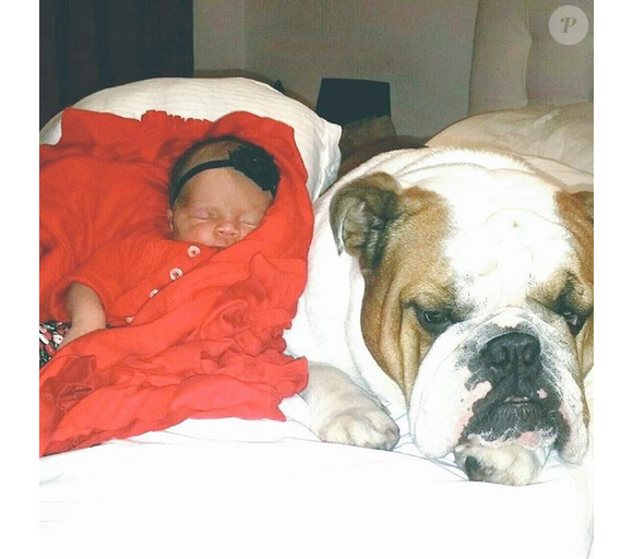 Chanel Nicole fait la sieste avec Max le chien de Coco Austin et Ice-T / photo postée sur Instagram, le 3 décembre 2015