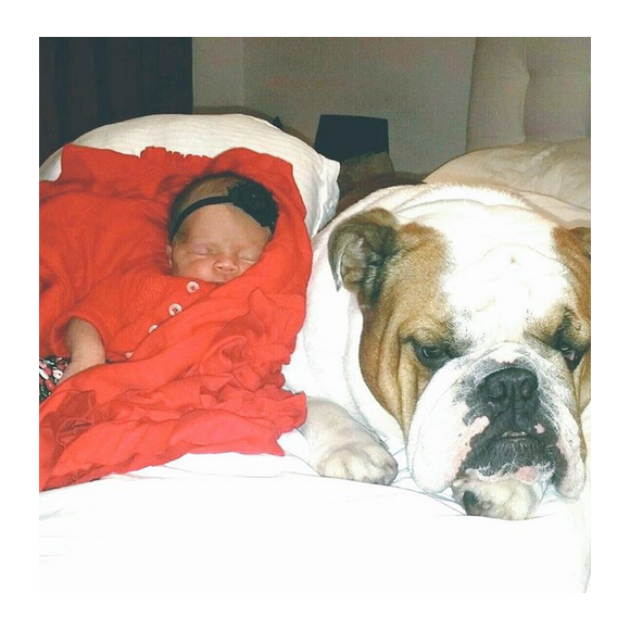 Chanel Nicole fait la sieste avec Max le chien de Coco Austin et Ice-T / photo postée sur Instagram, le 3 décembre 2015