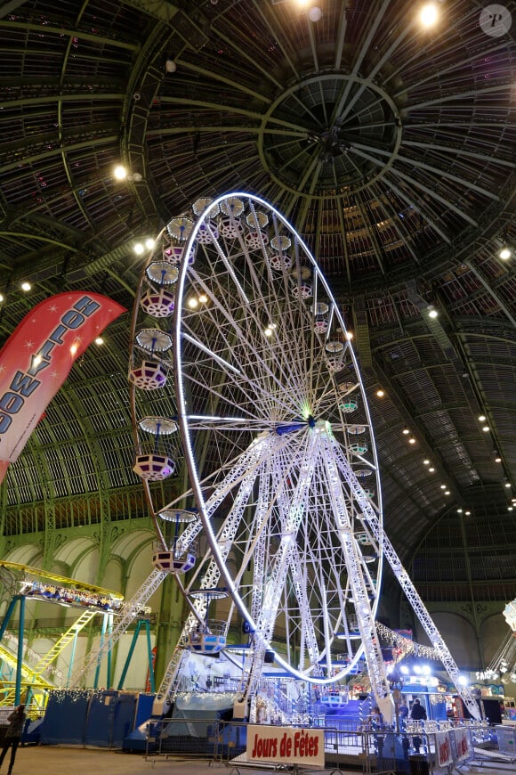 Ambiance - Inauguration de la 3e édition de "Jours de Fêtes" au Grand Palais à Paris, le 17 décembre 2015.