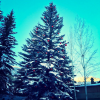 Noël à la neige ! Elle Macpherson passe les Fêtes en famille à Aspen, dans le Colorado. Photo publiée le 24 décembre 2015.