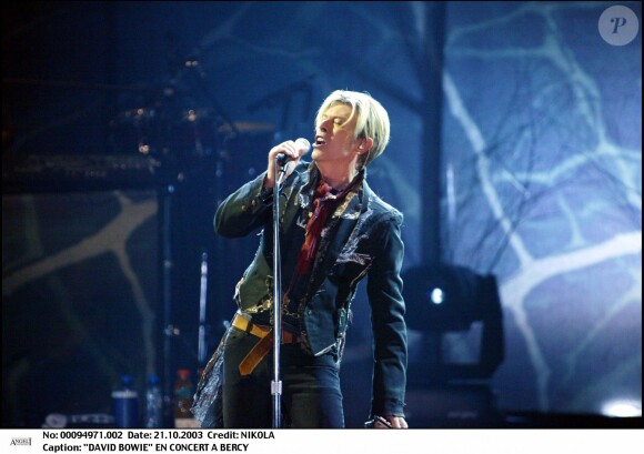 David Bowie en concert à Bercy en 2003