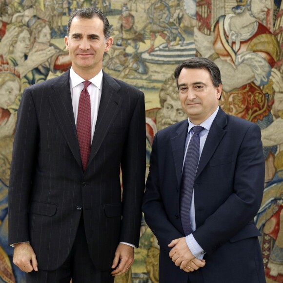 Le roi Felipe VI d'Espagne reçoit Aitor Esteban Bravo représentant du parti Euzko Alderdi Jeltzalea-Partido Nacionalista Vasco (EAJ-PNV) en audience au palais de la Zarzuela à Madrid, le 19 janvier 2016.