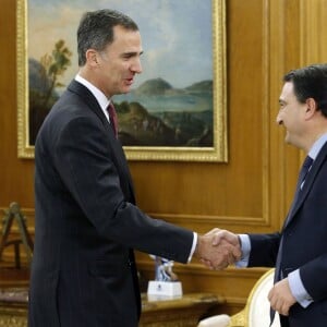 Le roi Felipe VI d'Espagne reçoit Aitor Esteban Bravo représentant du parti Euzko Alderdi Jeltzalea-Partido Nacionalista Vasco (EAJ-PNV) en audience au palais de la Zarzuela à Madrid, le 19 janvier 2016.