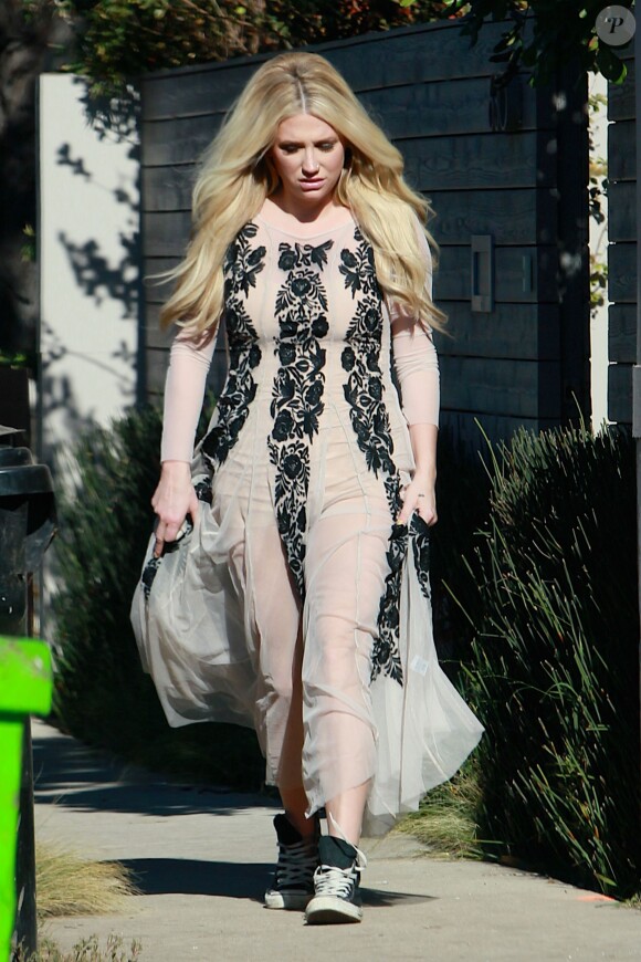 Exclusif - La chanteuse Kesha retrouve des amis à Los Angeles, le 22 novembre 2015. Elle porte une robe transparente. © CPA / Bestimage