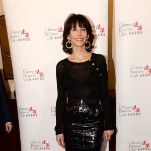 Sophie Marceau (ambassadrice du Chinese Business Club) au photocall du déjeuner du Chinese Business Club à l'hôtel Intercontinental pour la journée internationale des femmes à Paris le 8 mars 2016. © Rachid Bellak / Bestimage