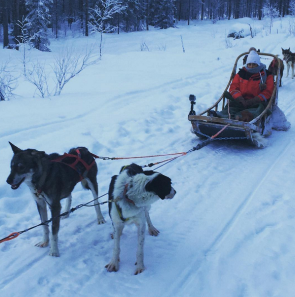 Shanna et Thibault en voyage en Laponie. Ici ils ont profité d'une sortie avec des chiens de traineau.
