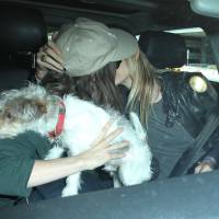 Ellen Page amoureuse : Tendre baiser avec sa chérie Samantha Thomas