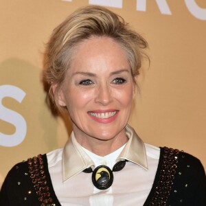 Sharon Stone à la soirée CNN Heroes 2015 à New York, le 17 novembre 2015